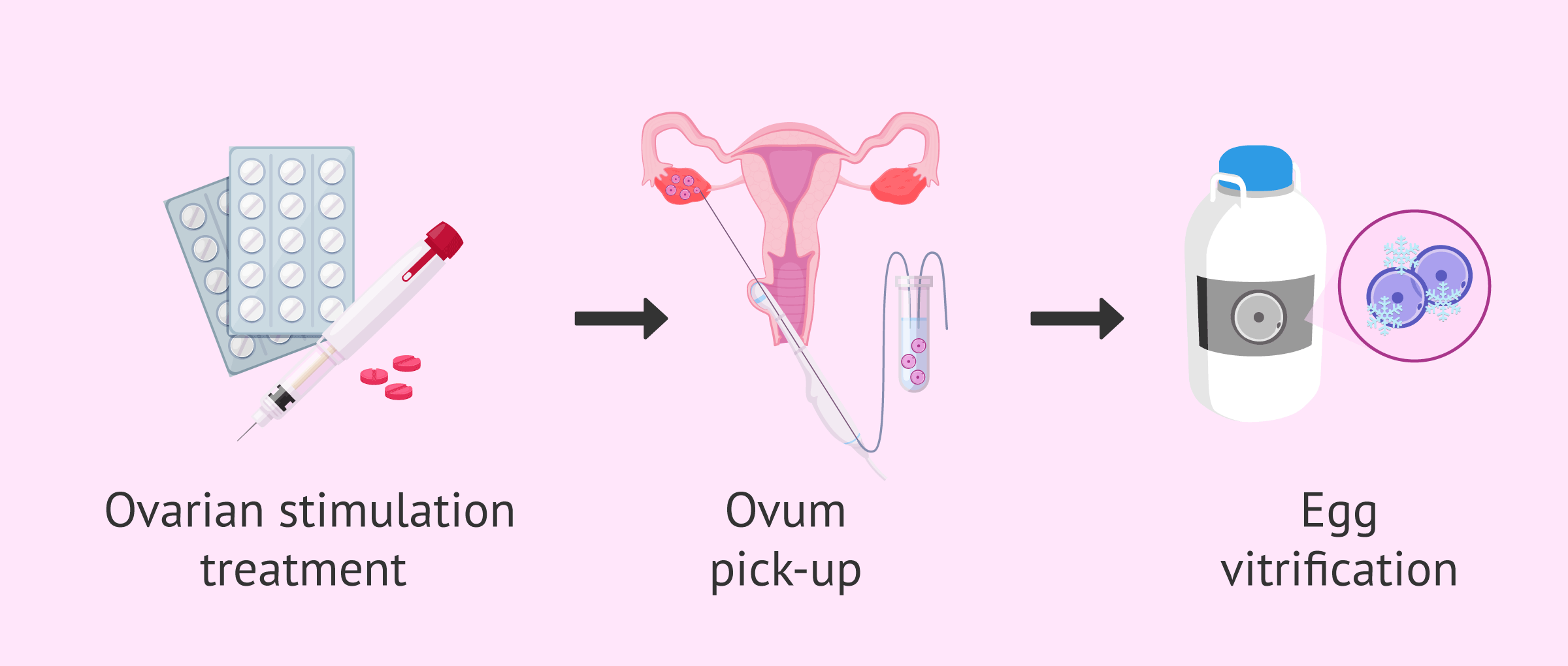 Fertility IVF